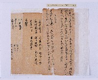 嘉慶二十三年（1818）及之前岸裡社潘敦家族系譜及祭祖物料相關記錄藏品圖，第21張